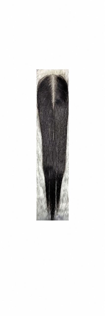 Vietnamese Sdd Bone Stw Kim K Closure